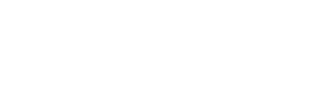 DiaFem